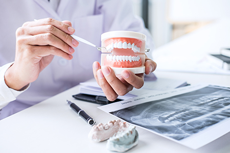 A dentist holding a tooth model with a magnifying glass, demonstrating dental care techniques.